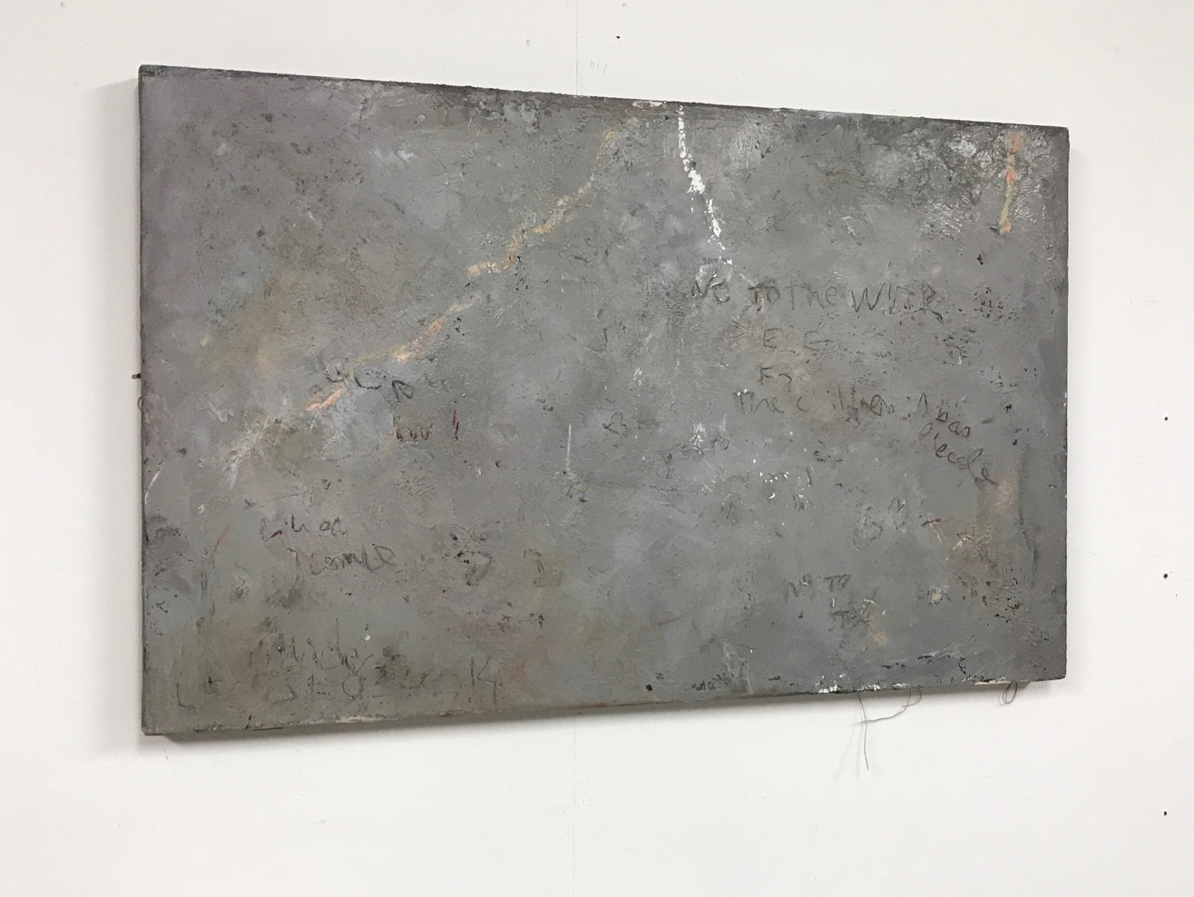 A bas l’école - Oil painting and garden detritus on linen 50 x 80 cm 2014-18